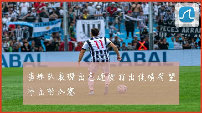 黄蜂队表现出色连续打出佳绩有望冲击附加赛